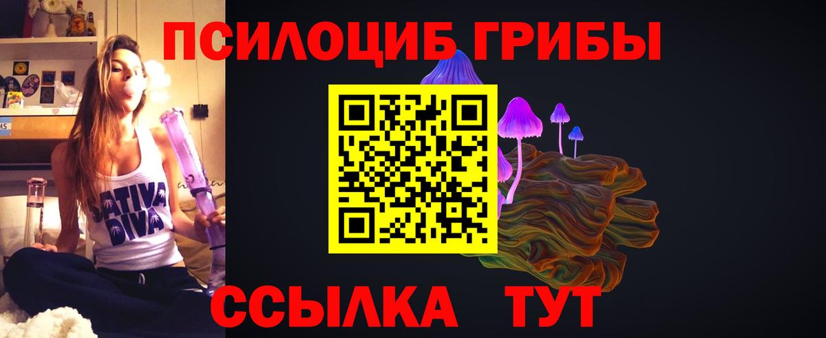 Псилоцибиновые грибы Cubensis  Вход с VPN  Армавир 